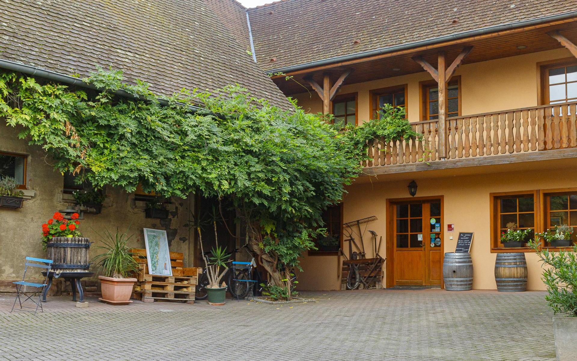 La cour