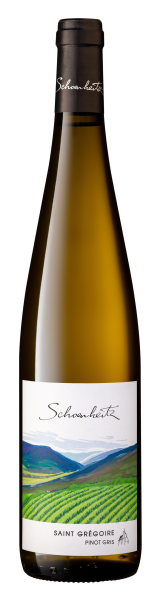 Pinot Gris Saint Grégoire