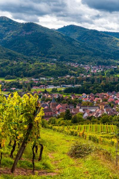 Nos coteaux