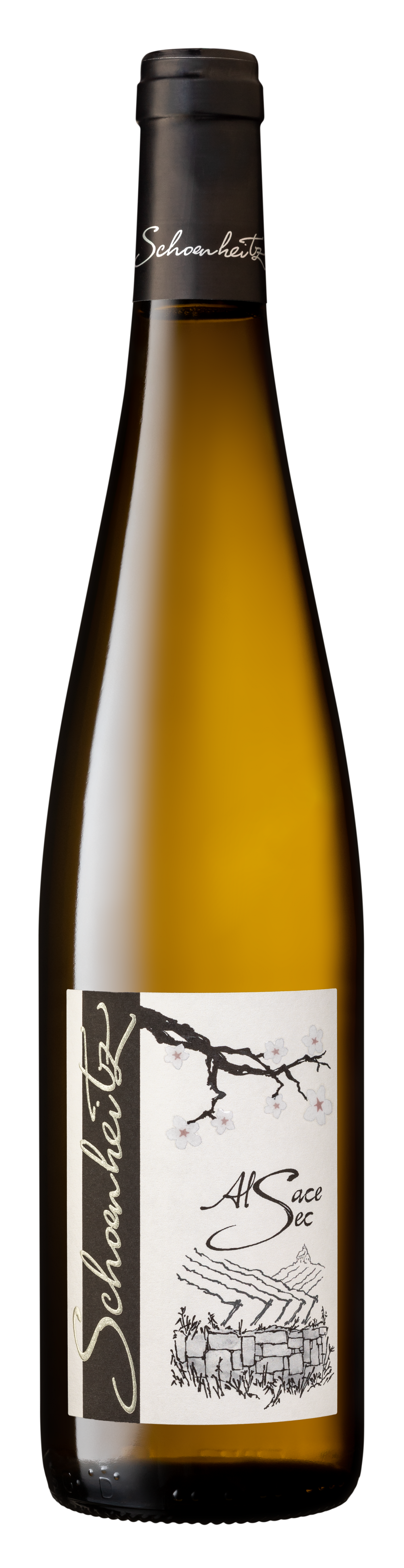 Alsace Sec 2023 BIO AOC Alsace