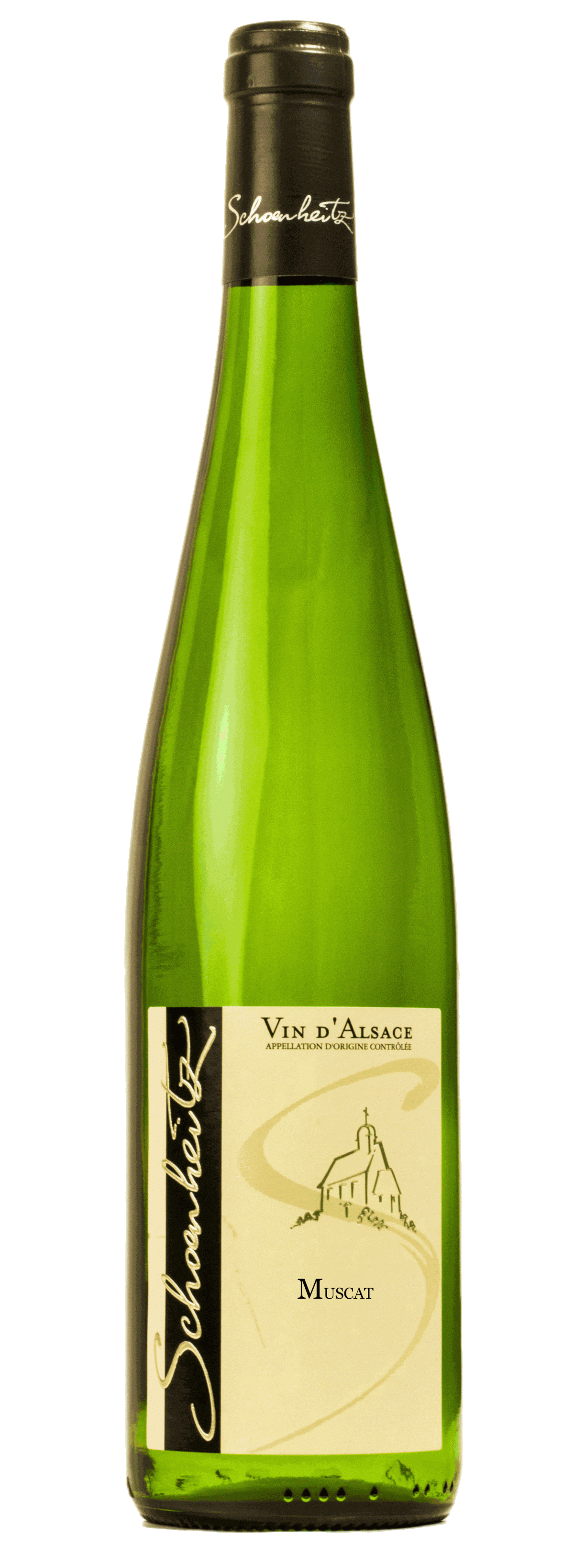 Muscat 2021 AOC Alsace