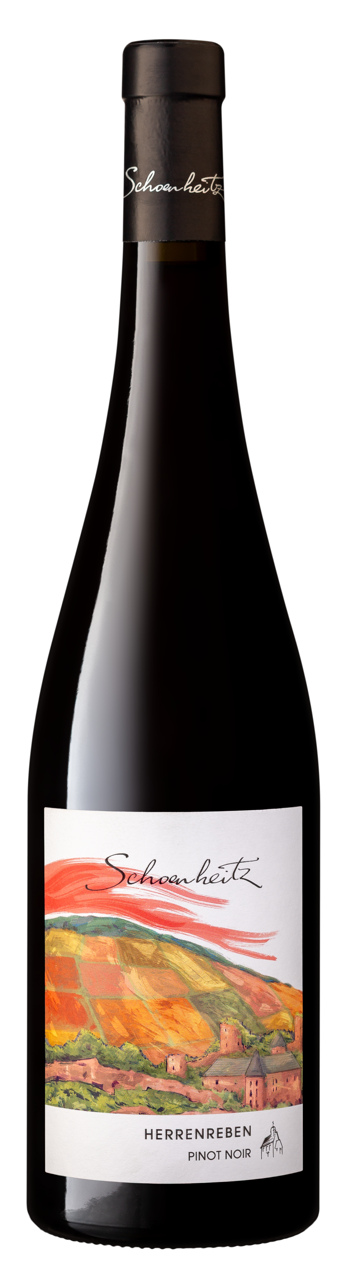 Pinot Noir Herrenreben 2023 AOC Alsace