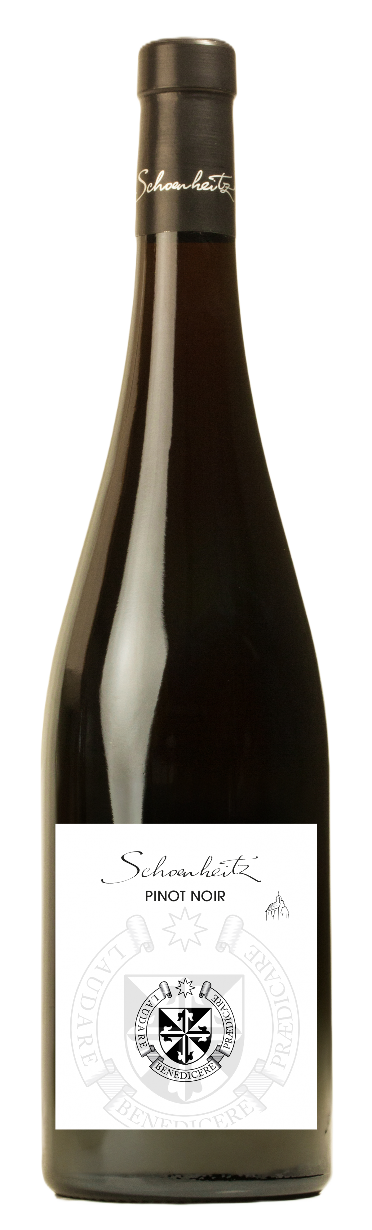 Pinot Noir 2025 - Cuvée des Dominicains